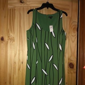 Ann Taylor Dress